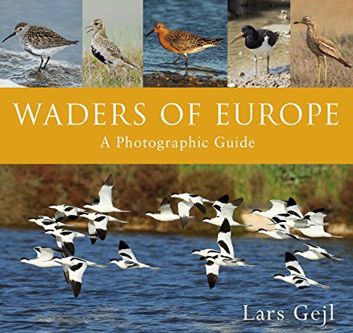 Beispielbild fr Waders of Europe zum Verkauf von GF Books, Inc.