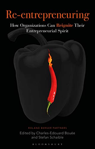 Imagen de archivo de Re-Entrepreneuring: How Organizations Can Reignite Their Entrepreneurial Spirit a la venta por WorldofBooks