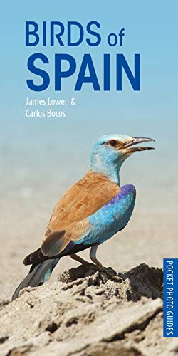 Stock image for Birds of Spain for sale by Revaluation Books