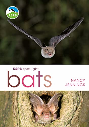 Beispielbild fr RSPB Spotlight Bats zum Verkauf von WorldofBooks