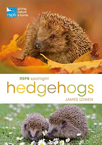 Imagen de archivo de RSPB Spotlight Hedgehogs a la venta por WorldofBooks