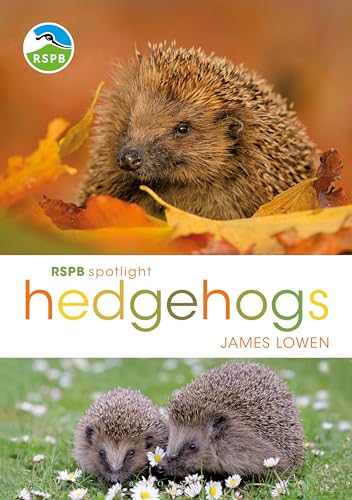 Stock image for RSPB Spotlight Hedgehogs for sale by WorldofBooks