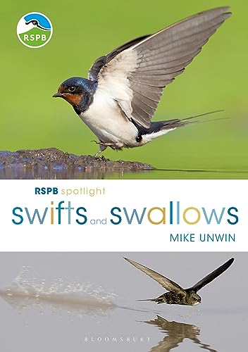 Stock image for Swifts and Swallows for sale by Blackwell's