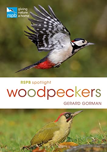 Beispielbild fr RSPB Spotlight Woodpeckers zum Verkauf von Better World Books