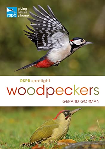 Imagen de archivo de RSPB Spotlight Woodpeckers a la venta por Better World Books