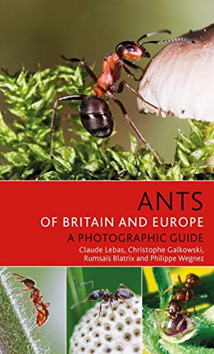 9781472954084: Ants of Britain and Europe