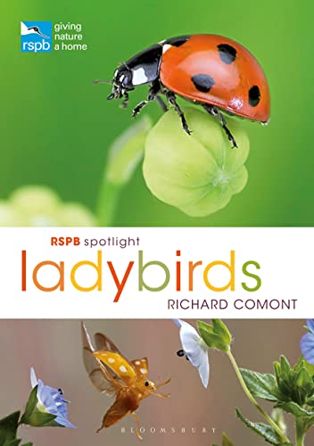 Beispielbild fr RSPB Spotlight Ladybirds zum Verkauf von WorldofBooks