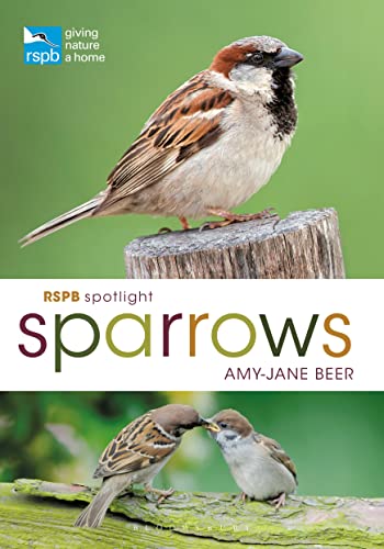 Stock image for RSPB Spotlight Sparrows for sale by Housing Works Online Bookstore