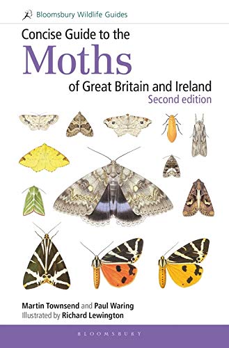 9781472957283: Concise Guide to the Moths of Great Britain and Ireland (Field Guides) [Idioma Ingls]