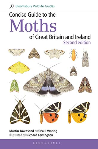 Imagen de archivo de Concise Guide to Moths of Great Britain and Ireland, Second Edition. a la venta por Books  Revisited