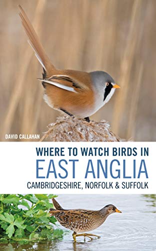 Beispielbild fr Where to Watch Birds in East Anglia: Cambridgeshire, Norfolk and Suffolk zum Verkauf von AwesomeBooks