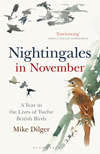 9781472962423: Nightingales in November: A Year in the Lives of Twelve British Birds