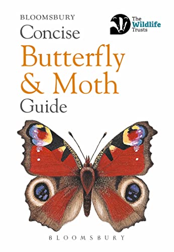 Imagen de archivo de Concise Butterfly and Moth Guide (Concise Guides) a la venta por WorldofBooks