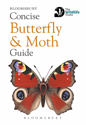 Stock image for Concise Butterfly and Moth Guide for sale by Revaluation Books