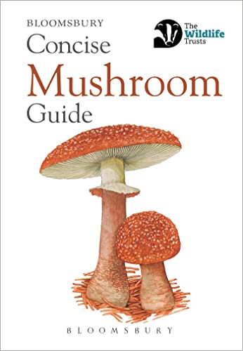 9781472963789: Bloomsbury Concise Mushroom Guide