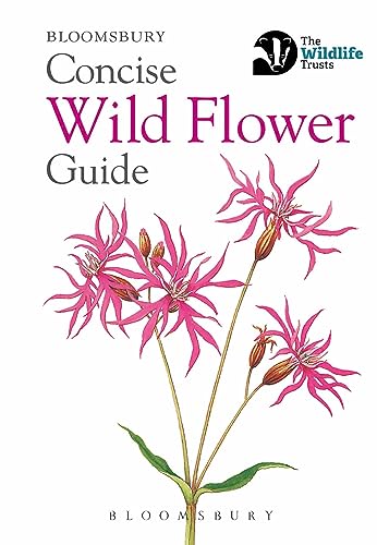 Stock image for Concise Wild Flower Guide (Concise Guides) for sale by WorldofBooks