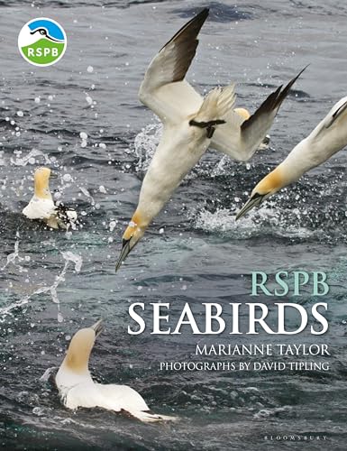 Beispielbild fr RSPB Seabirds zum Verkauf von Blackwell's