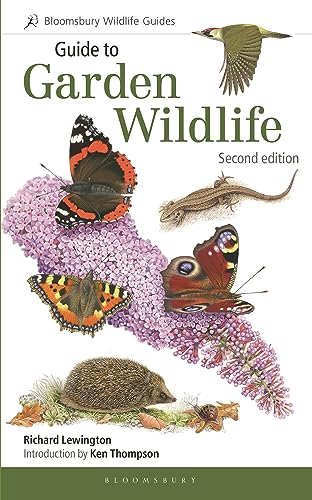 Beispielbild fr Guide to Garden Wildlife (2nd edition) (Bloomsbury Wildlife Guides) zum Verkauf von SecondSale