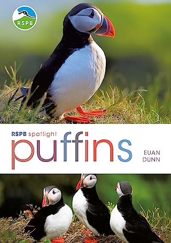 Imagen de archivo de RSPB Spotlight: Puffins a la venta por WorldofBooks