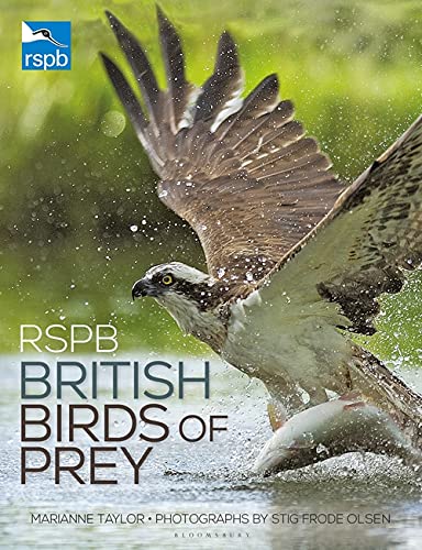 Beispielbild fr RSPB British Birds of Prey zum Verkauf von Blackwell's