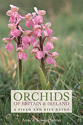 Stock image for Orchids of Britain and Ireland: A Field and Site Guide (Field & Site Guides) for sale by WorldofBooks