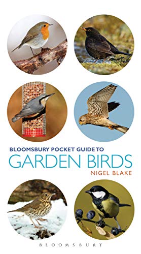 Stock image for Pocket Guide to Garden Birds for sale by Revaluation Books