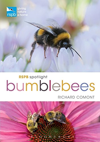 Stock image for RSPB Spotlight Bumblebees for sale by WorldofBooks
