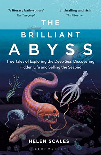 Beispielbild fr The Brilliant Abyss zum Verkauf von Blackwell's