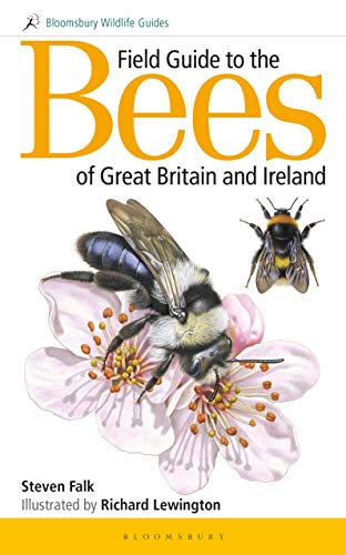 9781472967053: Field Guide to the Bees of Great Britain and Ireland (Bloomsbury Wildlife Guides)