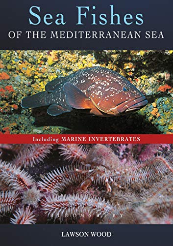 Beispielbild fr Sea Fishes Of The Mediterranean Including Marine Invertebrates zum Verkauf von More Than Words