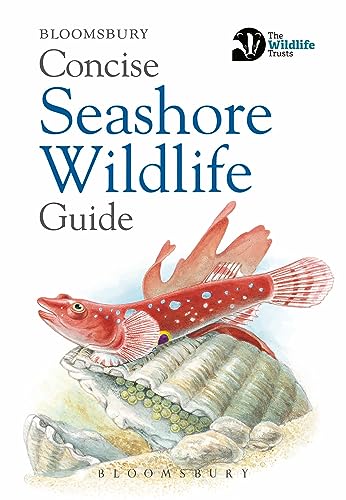 Stock image for Concise Seashore Wildlife Guide (Concise Guides) for sale by WorldofBooks