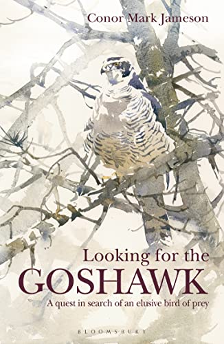 Beispielbild fr Looking for the Goshawk zum Verkauf von Blackwell's