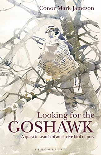 9781472969170: Looking for the Goshawk