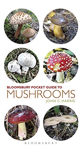 Beispielbild fr Pocket Guide to Mushrooms (Pocket Guides) zum Verkauf von Ergodebooks