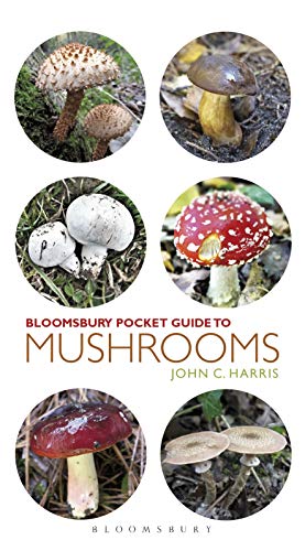 Stock image for Pocket Guide to Mushrooms for sale by Russell Books