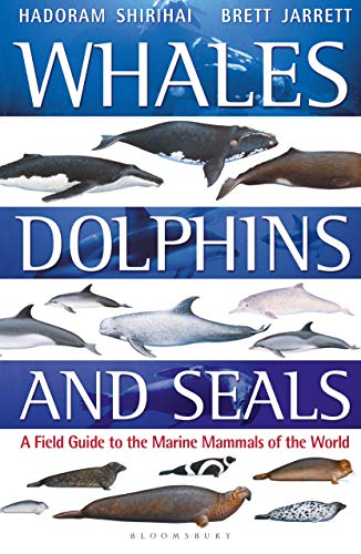 9781472969668: Whales, Dolphins and Seals: A Field Guide to the Marine Mammals of the World