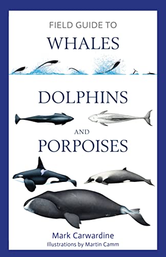 Stock image for Field Guide to Whales, Dolphins and Porpoises for sale by Blackwell's