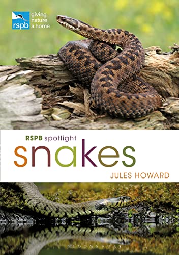 Stock image for RSPB Spotlight Snakes for sale by GF Books, Inc.