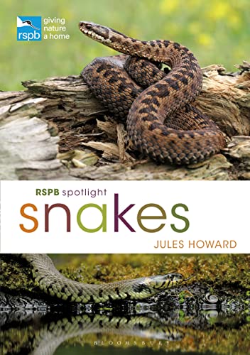9781472971692: RSPB Spotlight Snakes