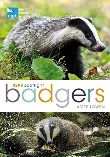 Beispielbild fr RSPB Spotlight: Badgers zum Verkauf von WorldofBooks