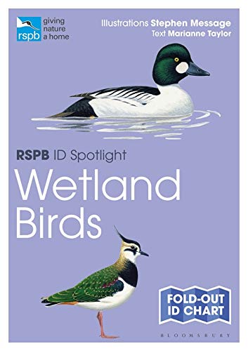 Beispielbild fr Wetland Birds zum Verkauf von Blackwell's