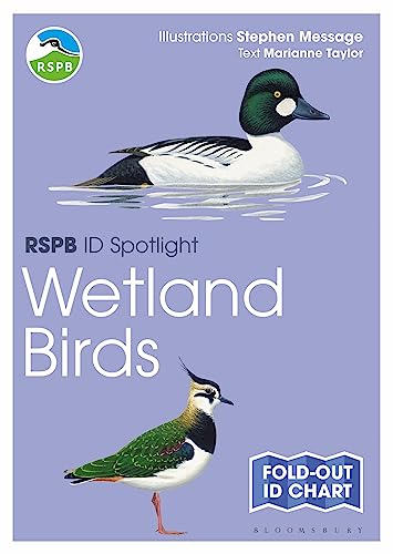 Stock image for RSPB ID Spotlight Wetland Birds for sale by PBShop.store US