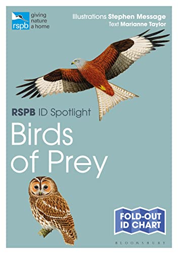 Stock image for Birds of Prey for sale by Blackwell's