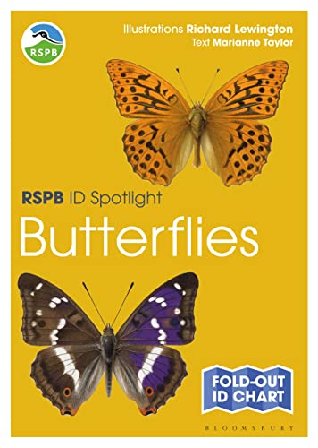 Beispielbild fr RSPB ID Spotlight Butterflies zum Verkauf von PBShop.store US