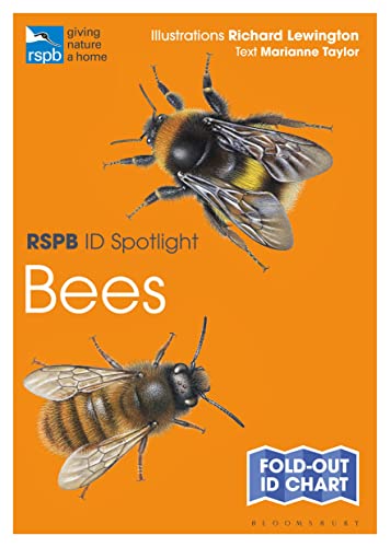 Imagen de archivo de RSPB ID Spotlight Bees a la venta por PBShop.store US