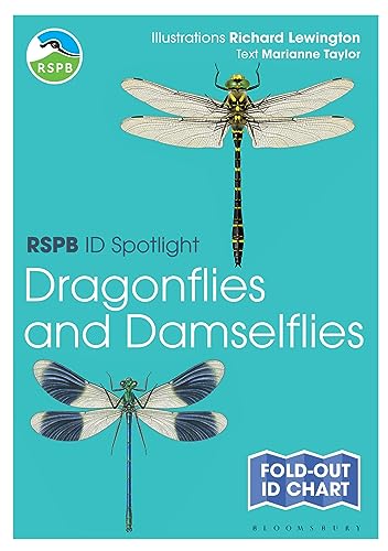 Imagen de archivo de RSPB ID Spotlight Dragonflies and Damselflies a la venta por PBShop.store US