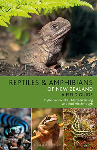 Beispielbild fr Reptiles and Amphibians of New Zealand zum Verkauf von SecondSale