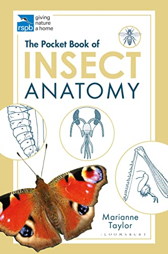 Stock image for The Pocket Book of Insect Anatomy for sale by Blackwell's
