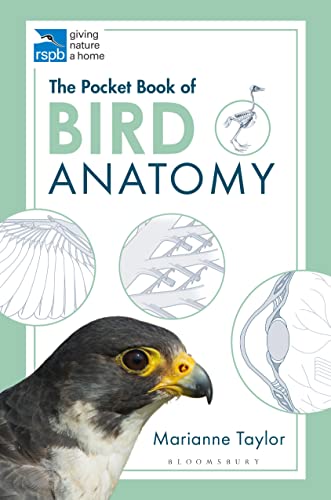 Stock image for The Pocket Book of Bird Anatomy for sale by Blackwell's