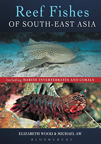 Beispielbild fr Reef Fishes of South-East Asia zum Verkauf von Blackwell's